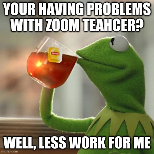 Problems with zoom? | YOUR HAVING PROBLEMS WITH ZOOM TEAHCER? WELL, LESS WORK FOR ME | image tagged in memes,but that's none of my business,kermit the frog | made w/ Imgflip meme maker