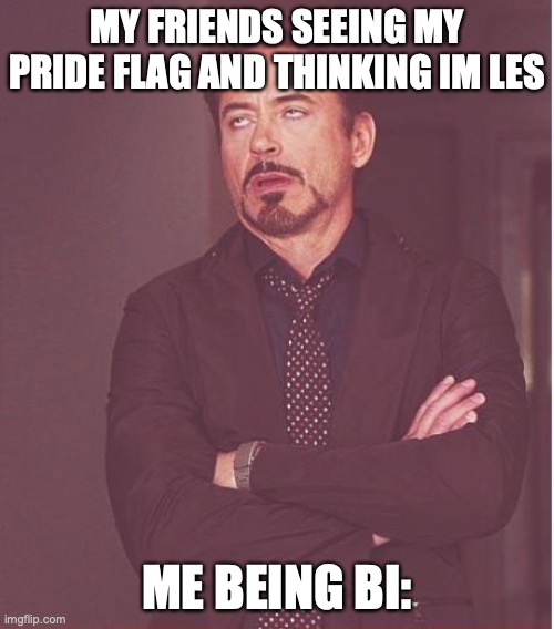 Face You Make Robert Downey Jr | MY FRIENDS SEEING MY PRIDE FLAG AND THINKING IM LES; ME BEING BI: | image tagged in memes,face you make robert downey jr | made w/ Imgflip meme maker