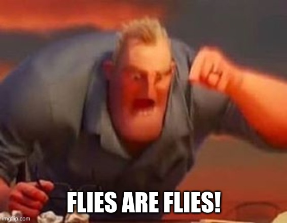 Mr incredible mad | FLIES ARE FLIES! | image tagged in mr incredible mad | made w/ Imgflip meme maker