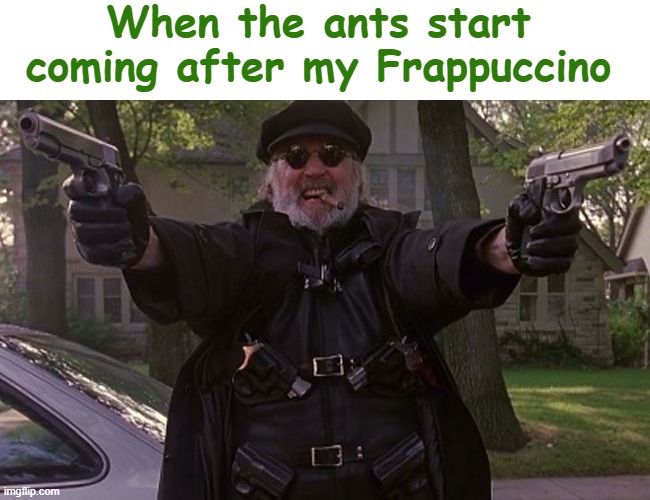 They Clearly Have a Death Wish... | When the ants start coming after my Frappuccino | image tagged in ants,boondock saints,pests,bugs,memes | made w/ Imgflip meme maker