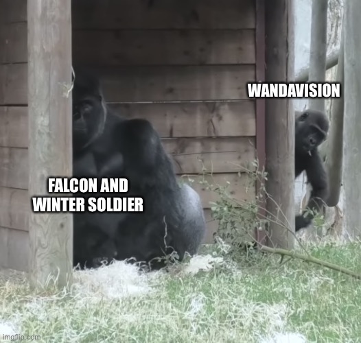 “oN yEr LeFt” | WANDAVISION; FALCON AND WINTER SOLDIER | image tagged in sneaky gorilla kid | made w/ Imgflip meme maker