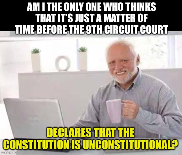 Constitution | AM I THE ONLY ONE WHO THINKS THAT IT’S JUST A MATTER OF TIME BEFORE THE 9TH CIRCUIT COURT; DECLARES THAT THE CONSTITUTION IS UNCONSTITUTIONAL? | image tagged in harold | made w/ Imgflip meme maker