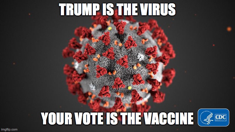 TRUMP virus | TRUMP IS THE VIRUS; YOUR VOTE IS THE VACCINE | image tagged in covid 19 | made w/ Imgflip meme maker