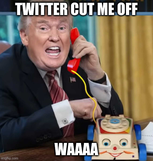who was the twitter mod that made that decision | TWITTER CUT ME OFF; WAAAA | image tagged in i'm the president | made w/ Imgflip meme maker