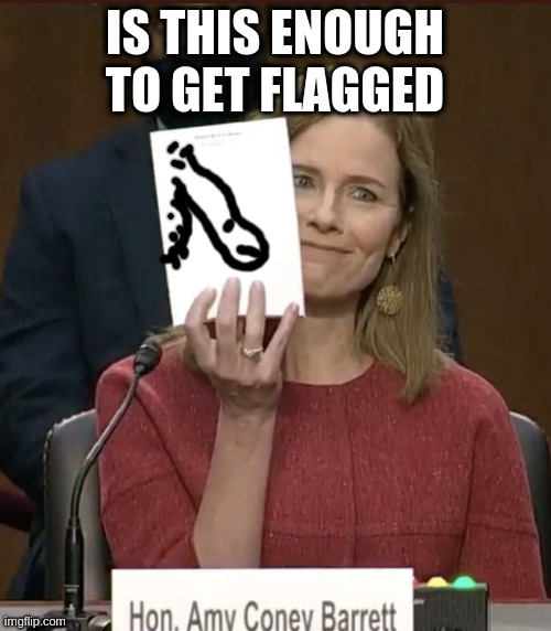 is this important enough for the front page no have a nice day | IS THIS ENOUGH TO GET FLAGGED | image tagged in amy coney barrett,drawrings | made w/ Imgflip meme maker