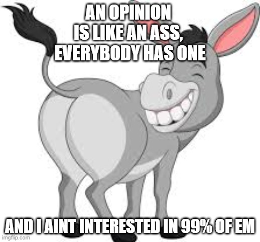 An ass | AN OPINION 
IS LIKE AN ASS, 
EVERYBODY HAS ONE; AND I AINT INTERESTED IN 99% OF EM | image tagged in opinions | made w/ Imgflip meme maker