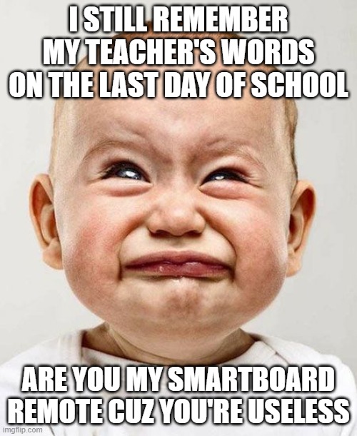 CryingBaby | I STILL REMEMBER MY TEACHER'S WORDS ON THE LAST DAY OF SCHOOL; ARE YOU MY SMARTBOARD REMOTE CUZ YOU'RE USELESS | image tagged in cryingbaby | made w/ Imgflip meme maker