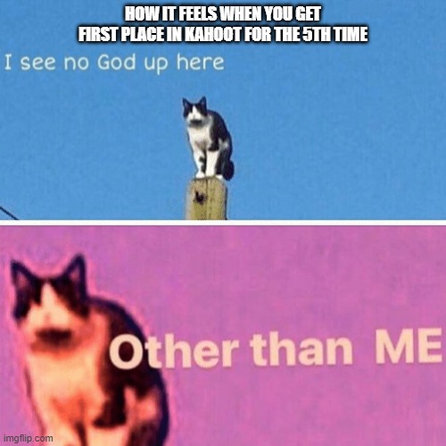 Hail pole cat | HOW IT FEELS WHEN YOU GET FIRST PLACE IN KAHOOT FOR THE 5TH TIME | image tagged in hail pole cat | made w/ Imgflip meme maker