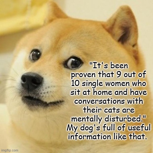 Doge Meme | "It's been proven that 9 out of 10 single women who sit at home and have conversations with their cats are mentally disturbed."
My dog's full of useful information like that. | image tagged in memes,doge | made w/ Imgflip meme maker
