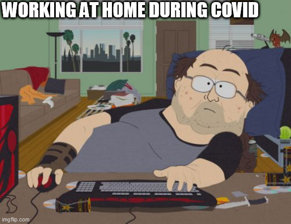 RPG Fan | WORKING AT HOME DURING COVID | image tagged in memes,rpg fan | made w/ Imgflip meme maker