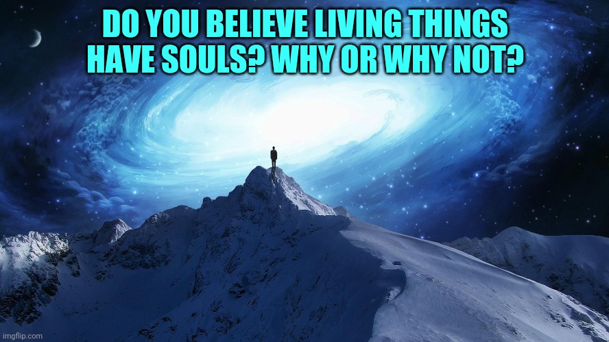 Spirituality | DO YOU BELIEVE LIVING THINGS HAVE SOULS? WHY OR WHY NOT? | image tagged in spirituality | made w/ Imgflip meme maker