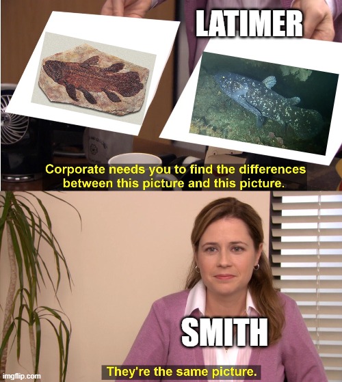 That moment when we realized coelacanths aren't extinct | LATIMER; SMITH | image tagged in memes,they're the same picture,fish,coelacanth,ichthyology,nature | made w/ Imgflip meme maker