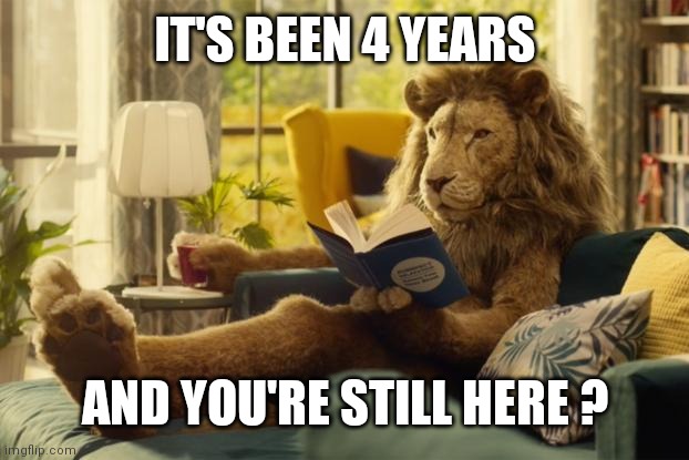 "It's Deja Vu all over again" - Yogi Berra | IT'S BEEN 4 YEARS AND YOU'RE STILL HERE ? | image tagged in lion relaxing,promises,remember when,i am therefore leaving immediately for nepal,you are already dead,gotta go cat | made w/ Imgflip meme maker
