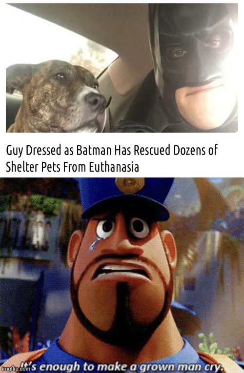 Guy Dressed as Batman Has Rescued Dozens of Shelter Pets From Euthanasia. | image tagged in it's enough to make a grown man cry,memes,meme,wholesome,funny,batman | made w/ Imgflip meme maker