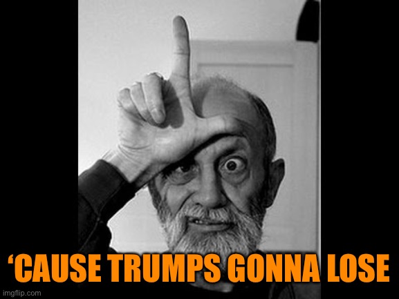 loser | ‘CAUSE TRUMPS GONNA LOSE | image tagged in loser | made w/ Imgflip meme maker