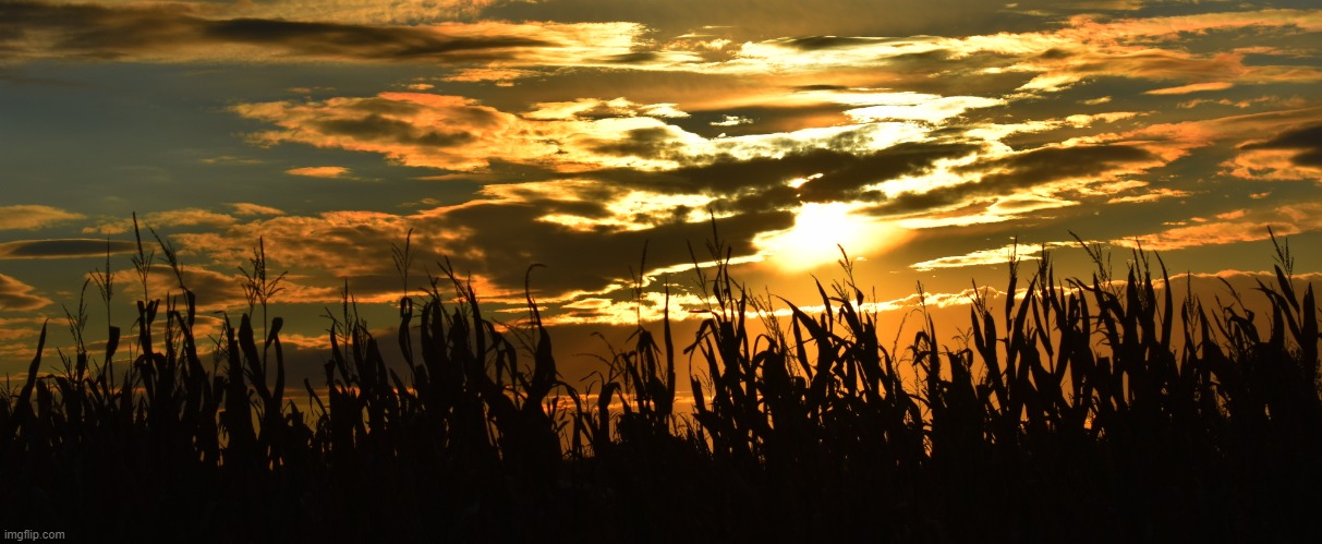 good morning | made w/ Imgflip meme maker