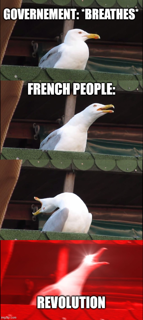 Inhaling Seagull | GOVERNEMENT: *BREATHES*; FRENCH PEOPLE:; REVOLUTION | image tagged in memes,inhaling seagull | made w/ Imgflip meme maker