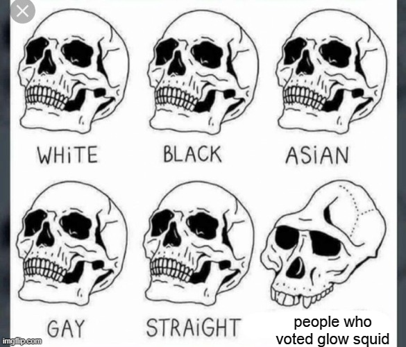 I love how dreams lost subs becuase of the squid dude | people who voted glow squid | image tagged in white black asian gay straight skull template | made w/ Imgflip meme maker