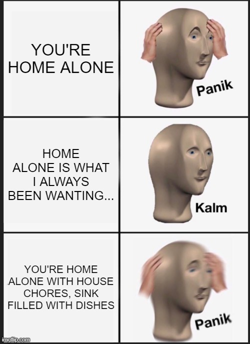 Xp | YOU'RE HOME ALONE; HOME ALONE IS WHAT I ALWAYS BEEN WANTING... YOU'RE HOME ALONE WITH HOUSE CHORES, SINK FILLED WITH DISHES | image tagged in memes,panik kalm panik | made w/ Imgflip meme maker