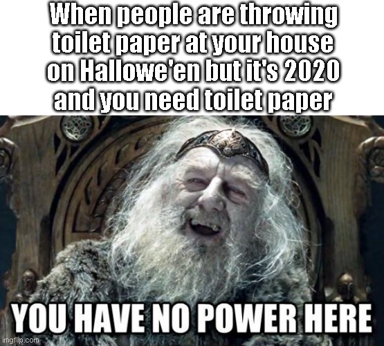 Toilet paper | When people are throwing
toilet paper at your house
on Hallowe'en but it's 2020
and you need toilet paper | image tagged in you have no power here,memes,toilet paper,halloween | made w/ Imgflip meme maker