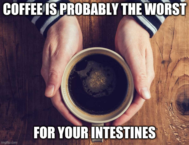 coffee | COFFEE IS PROBABLY THE WORST; FOR YOUR INTESTINES | image tagged in coffee | made w/ Imgflip meme maker