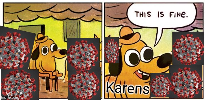 This is my best meme | Karens | image tagged in memes,this is fine | made w/ Imgflip meme maker