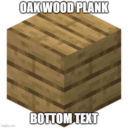 im sorry | OAK WOOD PLANK; BOTTOM TEXT | image tagged in minecraft,bottom text,lazy | made w/ Imgflip meme maker