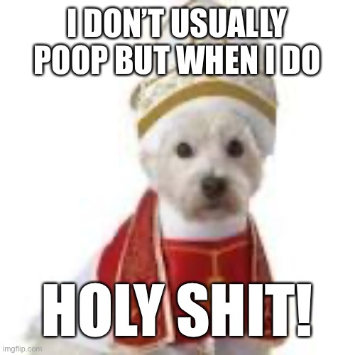 LOL | I DON’T USUALLY POOP BUT WHEN I DO; HOLY SHIT! | image tagged in dogs,funny,funny memes,poop,lol so funny,priest | made w/ Imgflip meme maker