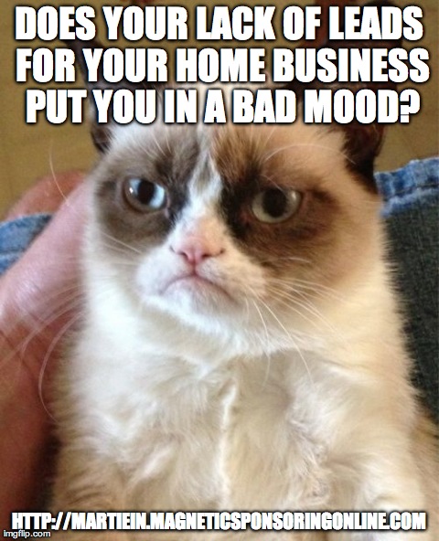 DOES YOUR LACK OF LEADS FOR YOUR HOME BUSINESS PUT YOU IN A BAD MOOD? | image tagged in memes,grumpy cat | made w/ Imgflip meme maker