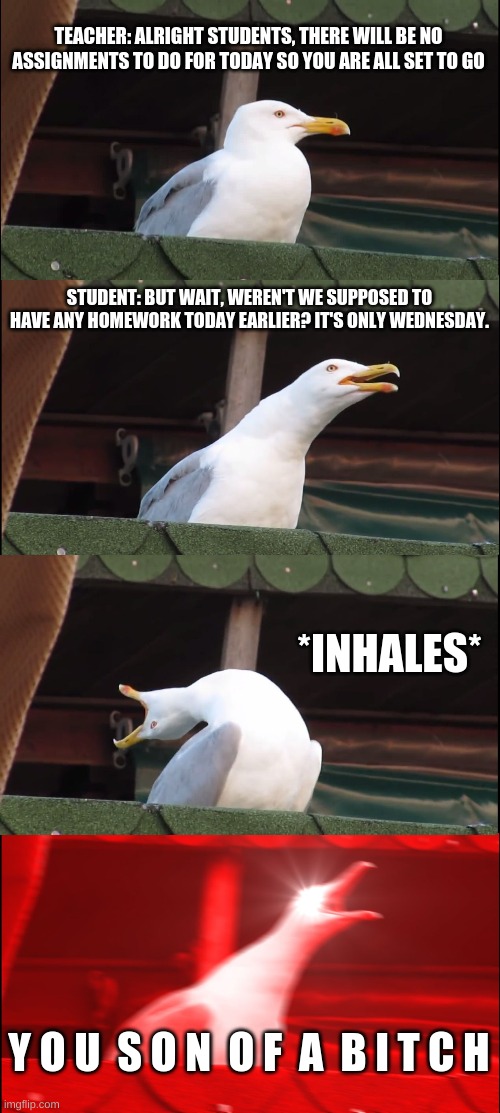 School Be Like | TEACHER: ALRIGHT STUDENTS, THERE WILL BE NO ASSIGNMENTS TO DO FOR TODAY SO YOU ARE ALL SET TO GO; STUDENT: BUT WAIT, WEREN'T WE SUPPOSED TO HAVE ANY HOMEWORK TODAY EARLIER? IT'S ONLY WEDNESDAY. *INHALES*; Y O U  S O N  O F  A  B I T C H | image tagged in memes,inhaling seagull,school,homework sucks | made w/ Imgflip meme maker