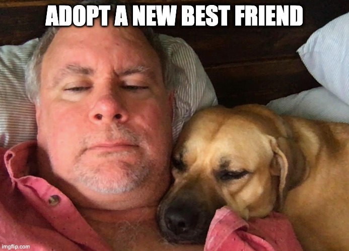 Adopt a New Best Friend | ADOPT A NEW BEST FRIEND | image tagged in adopt,dogs,dog,friends,friendship,love | made w/ Imgflip meme maker
