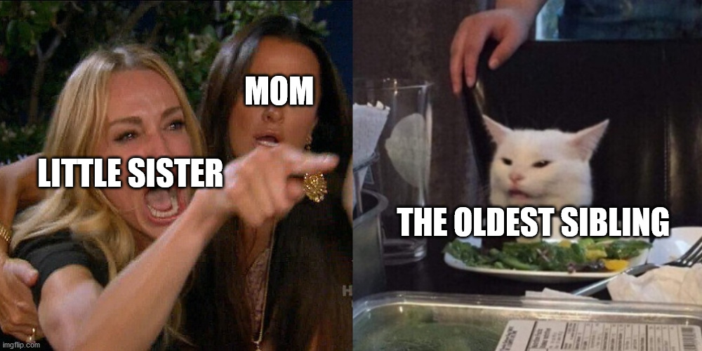 Woman yelling at cat | MOM; LITTLE SISTER; THE OLDEST SIBLING | image tagged in woman yelling at cat | made w/ Imgflip meme maker