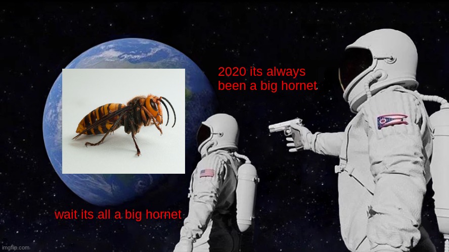 Murder hornet | 2020 its always been a big hornet; wait its all a big hornet | image tagged in memes,always has been | made w/ Imgflip meme maker