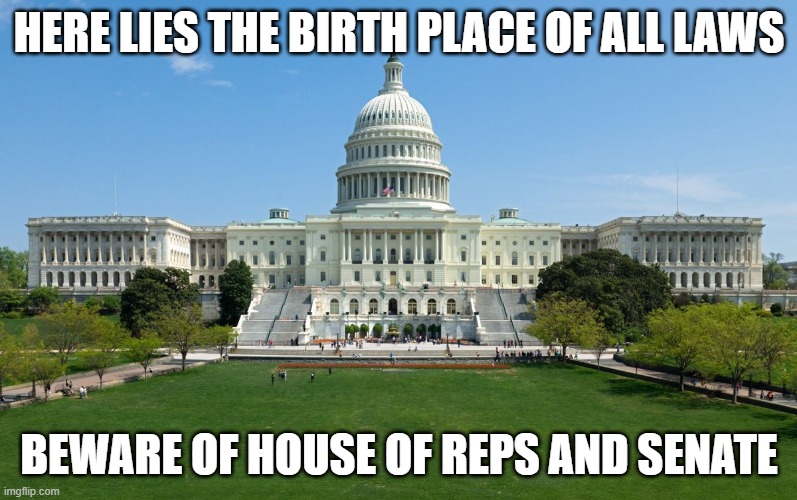 Civics Meme | HERE LIES THE BIRTH PLACE OF ALL LAWS; BEWARE OF HOUSE OF REPS AND SENATE | image tagged in capitol hill | made w/ Imgflip meme maker