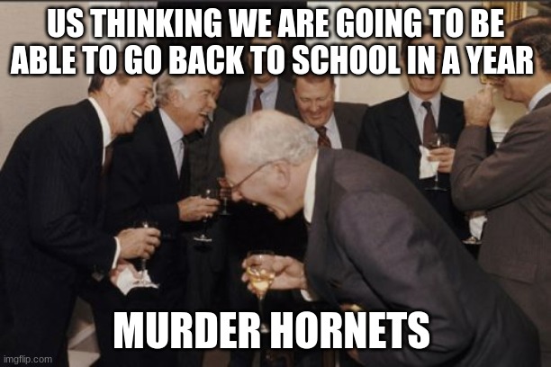 Laughing Men In Suits | US THINKING WE ARE GOING TO BE ABLE TO GO BACK TO SCHOOL IN A YEAR; MURDER HORNETS | image tagged in memes,laughing men in suits | made w/ Imgflip meme maker
