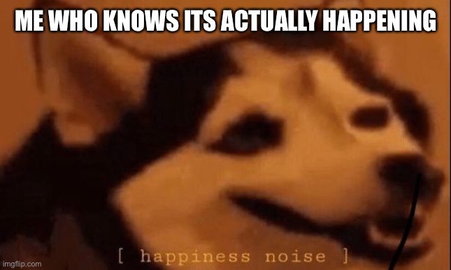 [happiness noise] | ME WHO KNOWS ITS ACTUALLY HAPPENING | image tagged in happiness noise | made w/ Imgflip meme maker