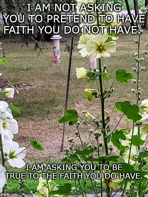 Summer birds | I AM NOT ASKING YOU TO PRETEND TO HAVE FAITH YOU DO NOT HAVE. I AM ASKING YOU TO BE TRUE TO THE FAITH YOU DO HAVE. | image tagged in cardinals,birds | made w/ Imgflip meme maker