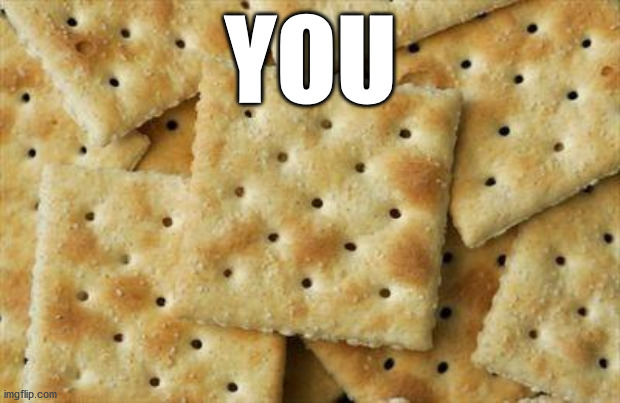 Crackers | YOU | image tagged in crackers | made w/ Imgflip meme maker