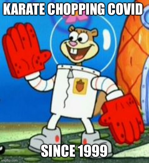 Covid 19 | KARATE CHOPPING COVID; SINCE 1999 | image tagged in covid-19,spongebob,funny memes | made w/ Imgflip meme maker