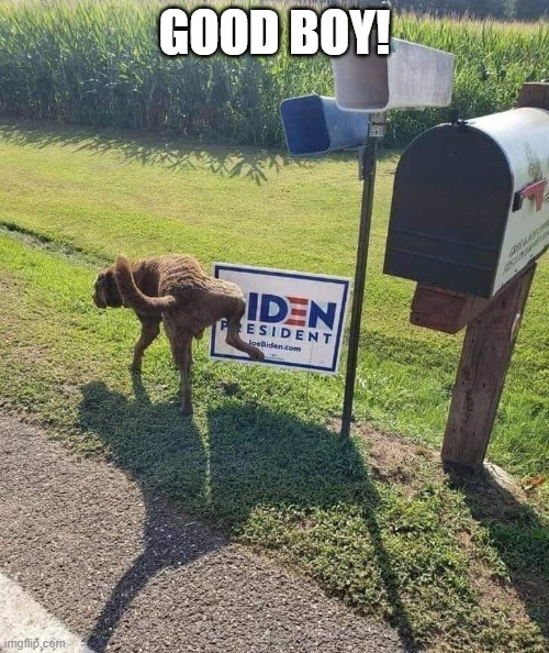 Good Dog! | GOOD BOY! | image tagged in joe biden,piss on joe,democratic socialism | made w/ Imgflip meme maker