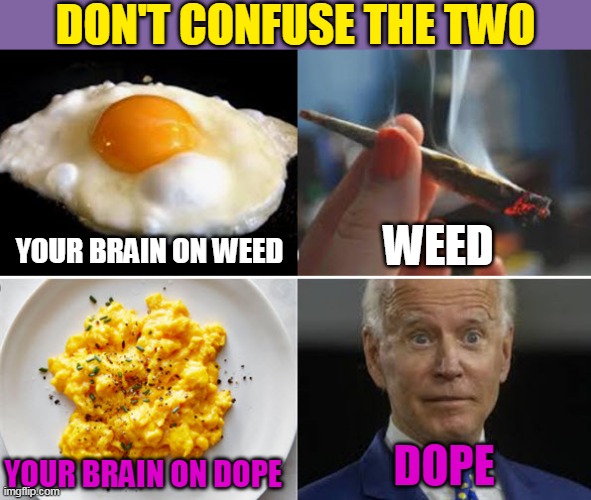 Rope-A-Dope Joe | DON'T CONFUSE THE TWO; WEED; YOUR BRAIN ON WEED; DOPE; YOUR BRAIN ON DOPE | image tagged in joe biden,dope,weed,marijuana,brain | made w/ Imgflip meme maker