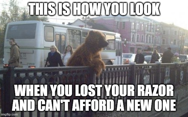 keep things safe | THIS IS HOW YOU LOOK; WHEN YOU LOST YOUR RAZOR AND CAN'T AFFORD A NEW ONE | image tagged in memes,city bear | made w/ Imgflip meme maker