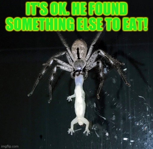 IT'S OK. HE FOUND SOMETHING ELSE TO EAT! | made w/ Imgflip meme maker