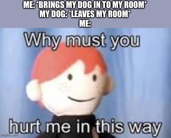 Why must you hurt me in this way | ME: *BRINGS MY DOG IN TO MY ROOM*
MY DOG: *LEAVES MY ROOM*
ME: | image tagged in why must you hurt me in this way,memes | made w/ Imgflip meme maker