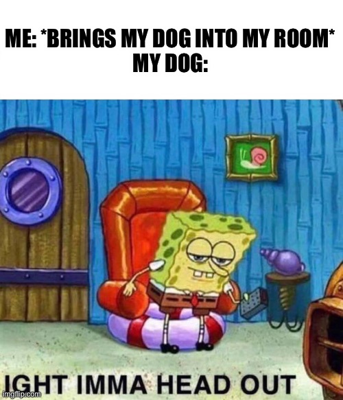 Spongebob Ight Imma Head Out Meme | ME: *BRINGS MY DOG INTO MY ROOM*
MY DOG: | image tagged in memes,spongebob ight imma head out | made w/ Imgflip meme maker