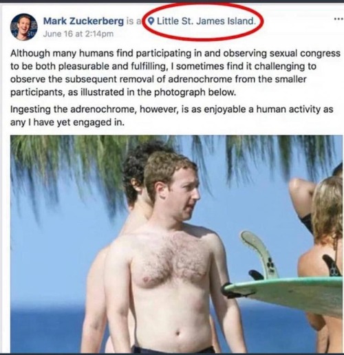 Mark Zuckerberg's comments on visiting Jeffrey Epstein's Pedophile Island | image tagged in jeffrey epstein,mark zuckerberg,pedophile island,epstein island,little st james island,sexual predator | made w/ Imgflip meme maker