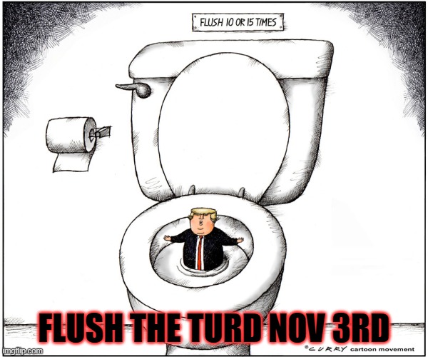 Flush the turd Nov 3rd | FLUSH THE TURD NOV 3RD | image tagged in nevertrump,dump trump,donald trump you're fired,donald trump is an idiot,impeach trump,anti trump | made w/ Imgflip meme maker