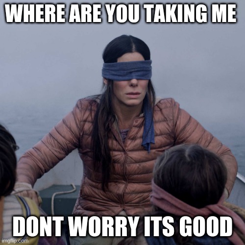 Bird Box | WHERE ARE YOU TAKING ME; DONT WORRY ITS GOOD | image tagged in memes,bird box | made w/ Imgflip meme maker