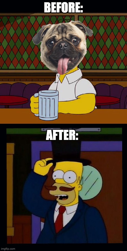 Homer Guy incognito | BEFORE: AFTER: | image tagged in homer guy incognito | made w/ Imgflip meme maker