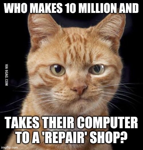 Doubting Cat | WHO MAKES 10 MILLION AND TAKES THEIR COMPUTER TO A 'REPAIR' SHOP? | image tagged in doubting cat | made w/ Imgflip meme maker